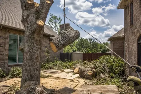 Sectional takedown of a declining blackjack oak between two brick North Texas homes, a trunk round suspended on the rigging line above a matted clay lawn